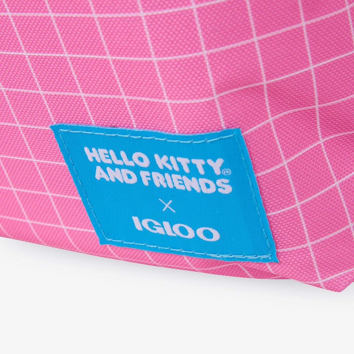 hello-kitty-and-friends-bff-mini-convertible-backpack-cooler-x0 00027591-L.jpg