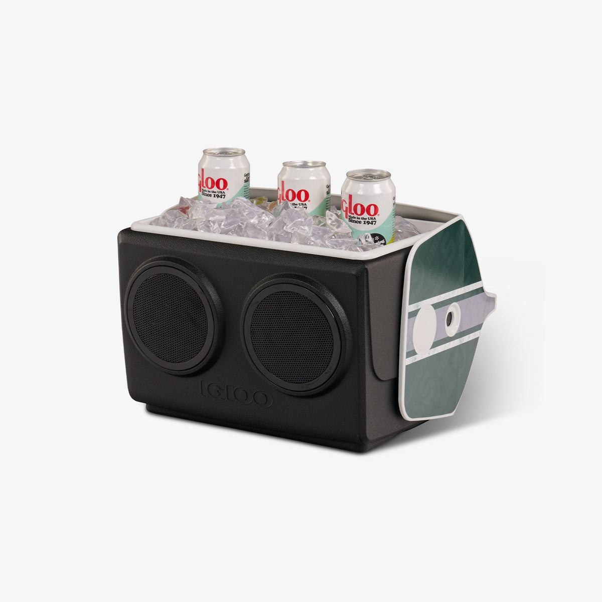 michigan-state-university-kooltunes-r6 00027730-P1.jpg