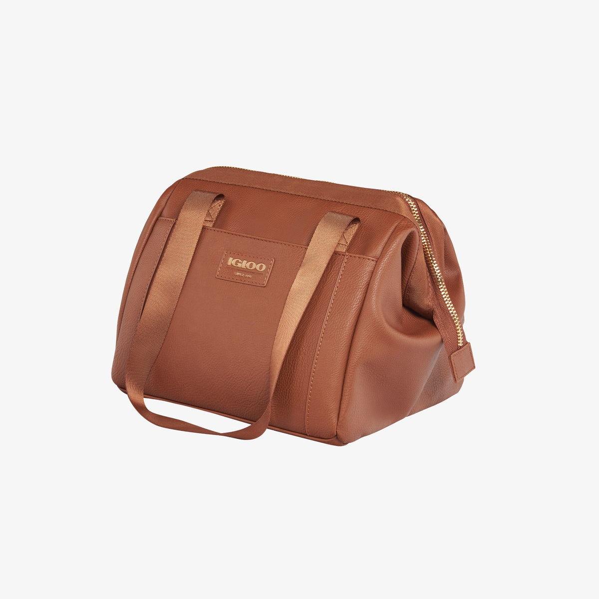 igloo-luxe-lunch-tote-cooler-bag-c6 00061160_2.jpg