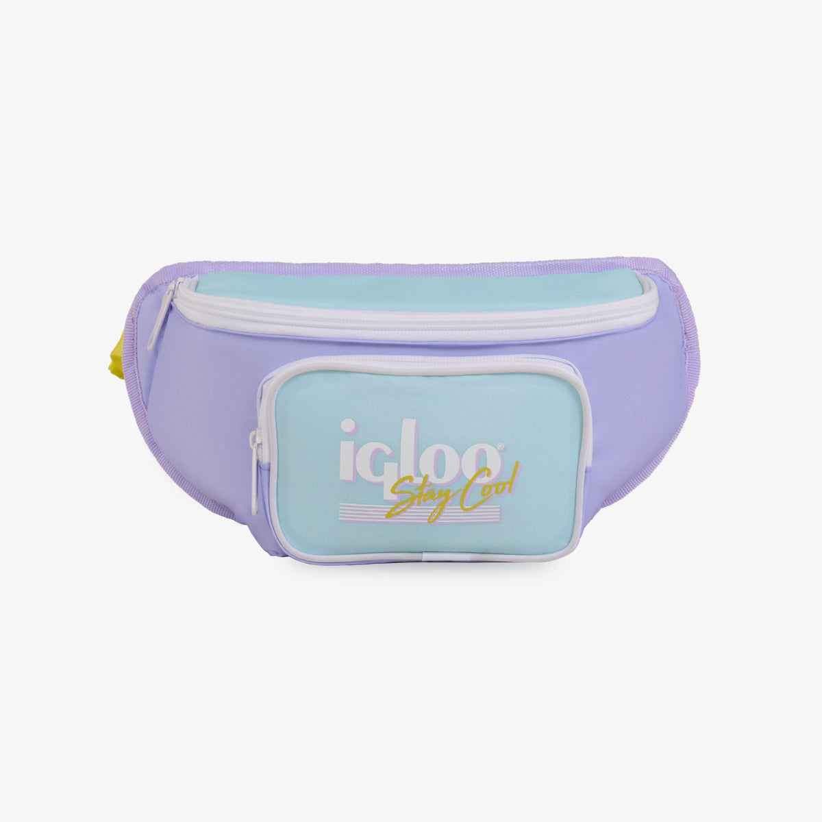 retro-fanny-pack-c2 00063078-F.jpg