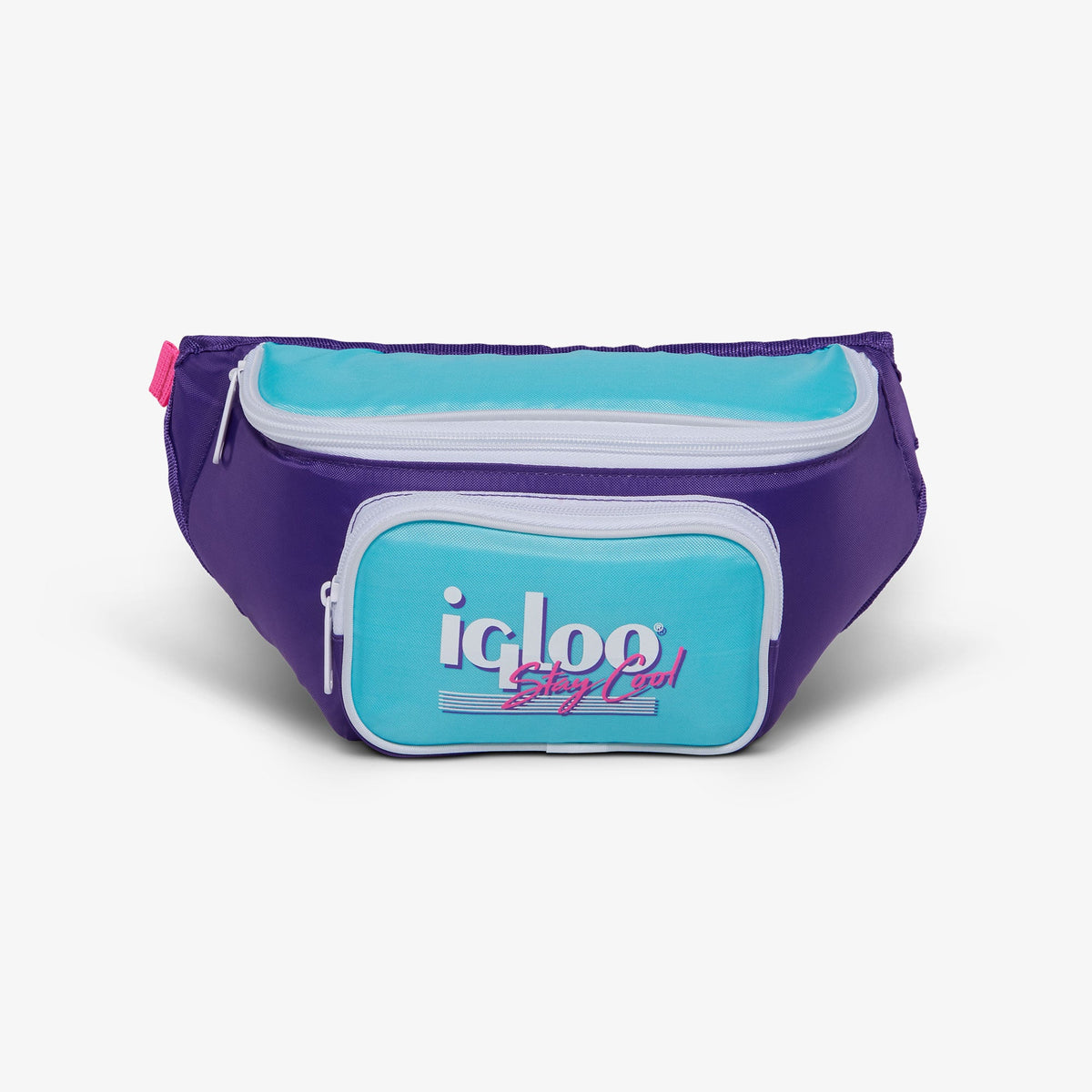 retro-fanny-pack-c2 00066056-F.jpg