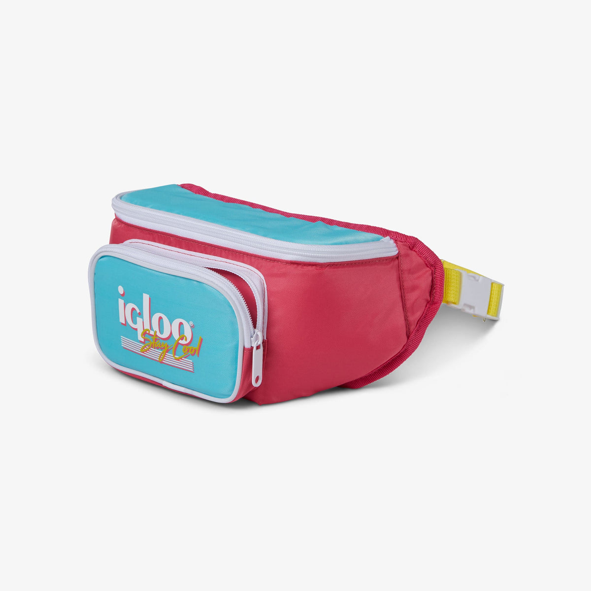 retro-fanny-pack-c2 00066058-O.jpg