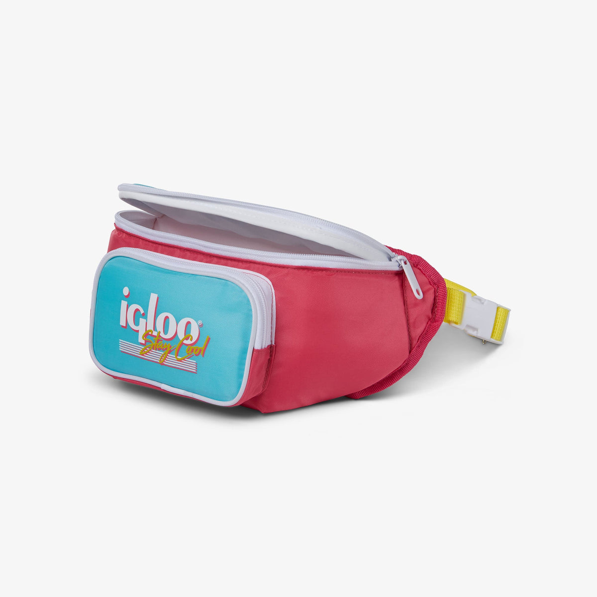 retro-fanny-pack-c2 00066058-O1.jpg