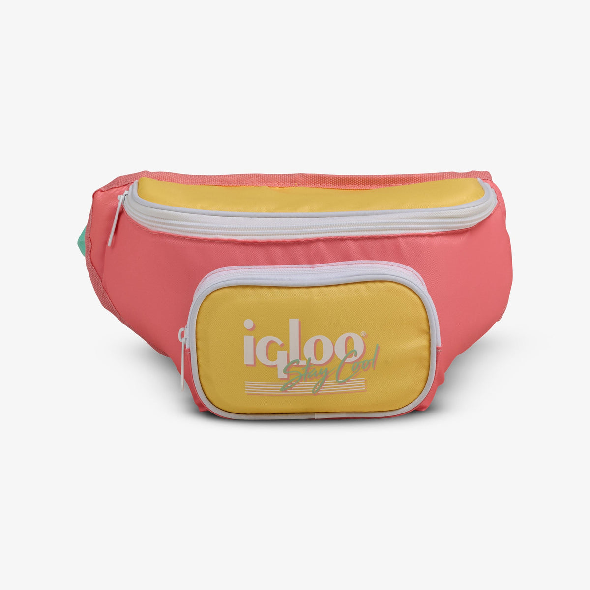retro-fanny-pack-c2 00066660-F.jpg