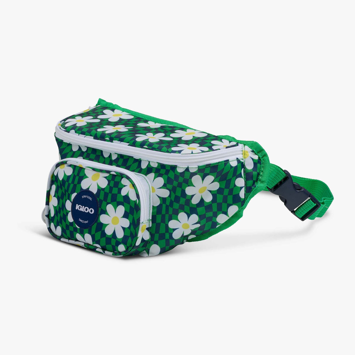 retro-fanny-pack-c2 00067206-H1.jpg