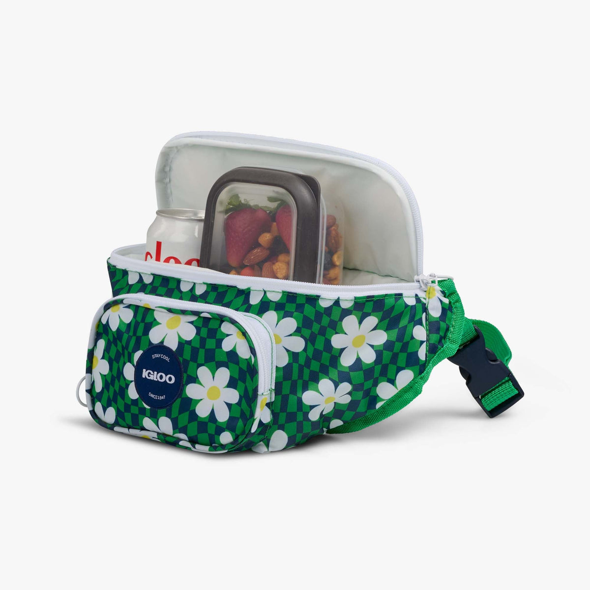 retro-fanny-pack-c2 00067206-P1.jpg