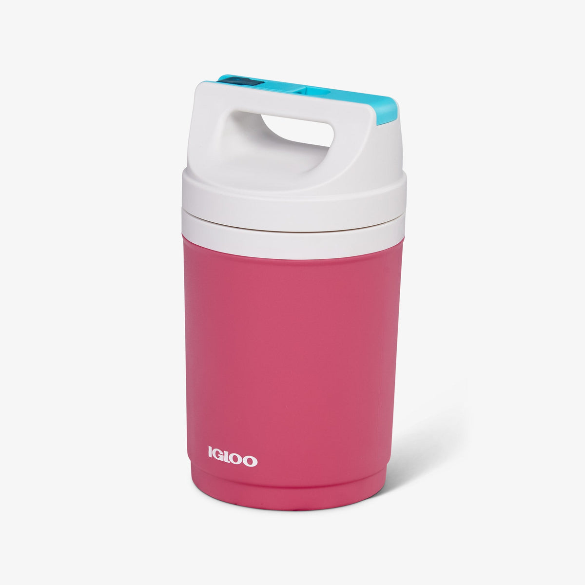 retro-playmate-half-gallon-jug-a4 00070862-H1.jpg